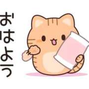 ヒメ日記 2026/07/27 05:56 投稿 安田 えみ 人妻の雫 倉敷店