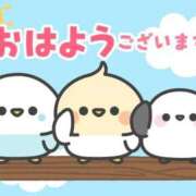 ヒメ日記 2026/09/02 05:56 投稿 安田 えみ 人妻の雫 倉敷店