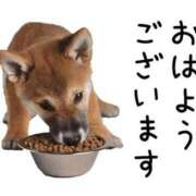 ヒメ日記 2026/09/10 05:16 投稿 安田 えみ 人妻の雫 倉敷店