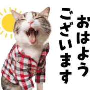 ヒメ日記 2026/09/19 05:16 投稿 安田 えみ 人妻の雫 倉敷店