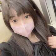 ヒメ日記 2025/03/29 17:39 投稿 ことり CA倶楽部