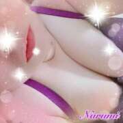 ヒメ日記 2025/02/17 20:22 投稿 なるみ 熟女総本店 日本橋ミナミエリア店