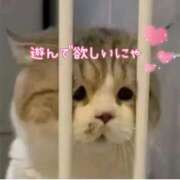 ヒメ日記 2025/09/03 18:46 投稿 なるみ 熟女総本店 日本橋ミナミエリア店