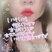 ヒメ日記 2025/12/16 03:40 投稿 なるみ 熟女総本店 日本橋ミナミエリア店