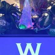 ヒメ日記 2025/12/23 23:25 投稿 りんか 舐めたくてグループ～君とサプライズ学園～越谷校