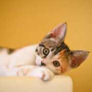 ヒメ日記 2024/12/07 12:16 投稿 奥村みさと MADAM