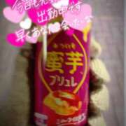 ヒメ日記 2024/12/12 06:16 投稿 奥村みさと MADAM