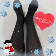 ヒメ日記 2024/12/13 07:16 投稿 奥村みさと MADAM