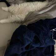 ヒメ日記 2025/12/03 05:16 投稿 吉崎まりえ MADAM