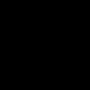 ヒメ日記 2025/12/11 04:01 投稿 上野なるみ MADAM