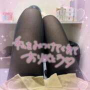 ヒメ日記 2025/03/15 11:25 投稿 みえ 横浜コスプレデビュー（シンデレラグループ）