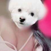 ヒメ日記 2025/06/12 02:17 投稿 ゆき DIVAセカンドシーズン日立店