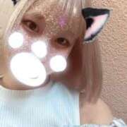 ヒメ日記 2024/09/24 04:48 投稿 ゆあ やんちゃな子猫 日本橋店