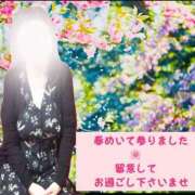 ヒメ日記 2025/03/23 06:46 投稿 坂本千佳 五十路マダム 新潟店(カサブランカグループ)