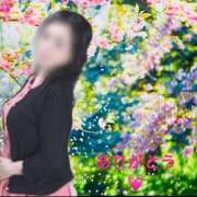 ヒメ日記 2025/03/25 19:14 投稿 坂本千佳 五十路マダム 新潟店(カサブランカグループ)