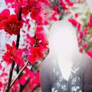 ヒメ日記 2025/03/27 17:32 投稿 坂本千佳 五十路マダム 新潟店(カサブランカグループ)