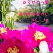 ヒメ日記 2025/06/15 22:34 投稿 坂本千佳 五十路マダム 新潟店(カサブランカグループ)