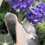 ヒメ日記 2025/06/28 06:48 投稿 坂本千佳 五十路マダム 新潟店(カサブランカグループ)