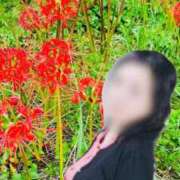 ヒメ日記 2025/09/26 17:12 投稿 坂本千佳 五十路マダム 新潟店(カサブランカグループ)