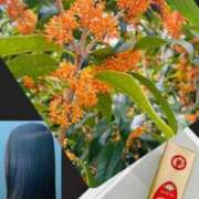 ヒメ日記 2025/10/14 23:02 投稿 坂本千佳 五十路マダム 新潟店(カサブランカグループ)