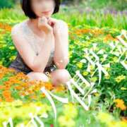 ヒメ日記 2025/10/30 08:12 投稿 みやび 多恋人倶楽部（山口）