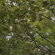 ヒメ日記 2025/08/02 11:23 投稿 みお 五反田・品川おかあさん