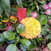 ヒメ日記 2025/08/22 22:43 投稿 みお 五反田・品川おかあさん