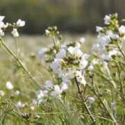 ヒメ日記 2025/09/20 17:18 投稿 みお 五反田・品川おかあさん
