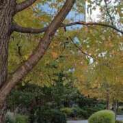 ヒメ日記 2026/01/12 16:13 投稿 みお 五反田・品川おかあさん