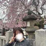 ヒメ日記 2025/04/07 14:24 投稿 ねね 静岡ハンパじゃない伝説