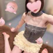 ヒメ日記 2025/04/02 11:19 投稿 かえで シルクハット