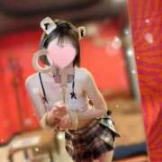 ヒメ日記 2025/04/21 10:40 投稿 かえで シルクハット