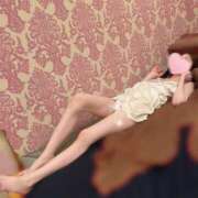 ヒメ日記 2025/05/01 07:30 投稿 かえで シルクハット