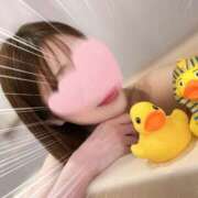 ヒメ日記 2025/11/26 23:19 投稿 かえで シルクハット