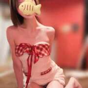 ヒメ日記 2025/12/24 10:52 投稿 かえで シルクハット