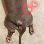 ヒメ日記 2025/05/19 20:31 投稿 ひまり 梅田アバンチュール