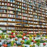 ヒメ日記 2025/07/17 22:00 投稿 ひまり 梅田アバンチュール