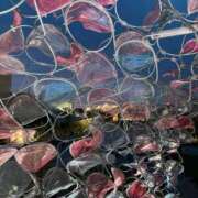 ヒメ日記 2025/07/19 22:00 投稿 ひまり 梅田アバンチュール