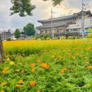 ヒメ日記 2025/09/11 11:30 投稿 ひまり 梅田アバンチュール