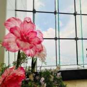 ヒメ日記 2025/09/30 22:00 投稿 ひまり 梅田アバンチュール