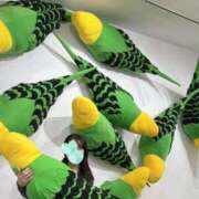 ヒメ日記 2025/10/18 23:32 投稿 ひまり 梅田アバンチュール