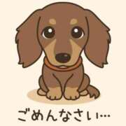 ヒメ日記 2025/11/09 10:22 投稿 ひまり 梅田アバンチュール