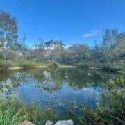 ヒメ日記 2025/11/28 22:12 投稿 ひまり 梅田アバンチュール