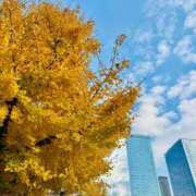 ヒメ日記 2025/12/03 22:42 投稿 ひまり 梅田アバンチュール