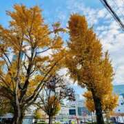 ヒメ日記 2025/12/09 22:12 投稿 ひまり 梅田アバンチュール