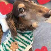 ヒメ日記 2025/12/23 10:18 投稿 ひまり 梅田アバンチュール