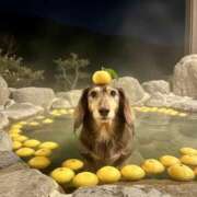 ヒメ日記 2025/12/27 22:12 投稿 ひまり 梅田アバンチュール