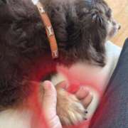 ヒメ日記 2026/01/05 22:32 投稿 ひまり 梅田アバンチュール