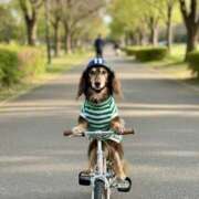 ひまり 人生最大の買い物をする勇気を🔥 梅田アバンチュール