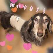 ヒメ日記 2026/02/12 22:17 投稿 ひまり 梅田アバンチュール